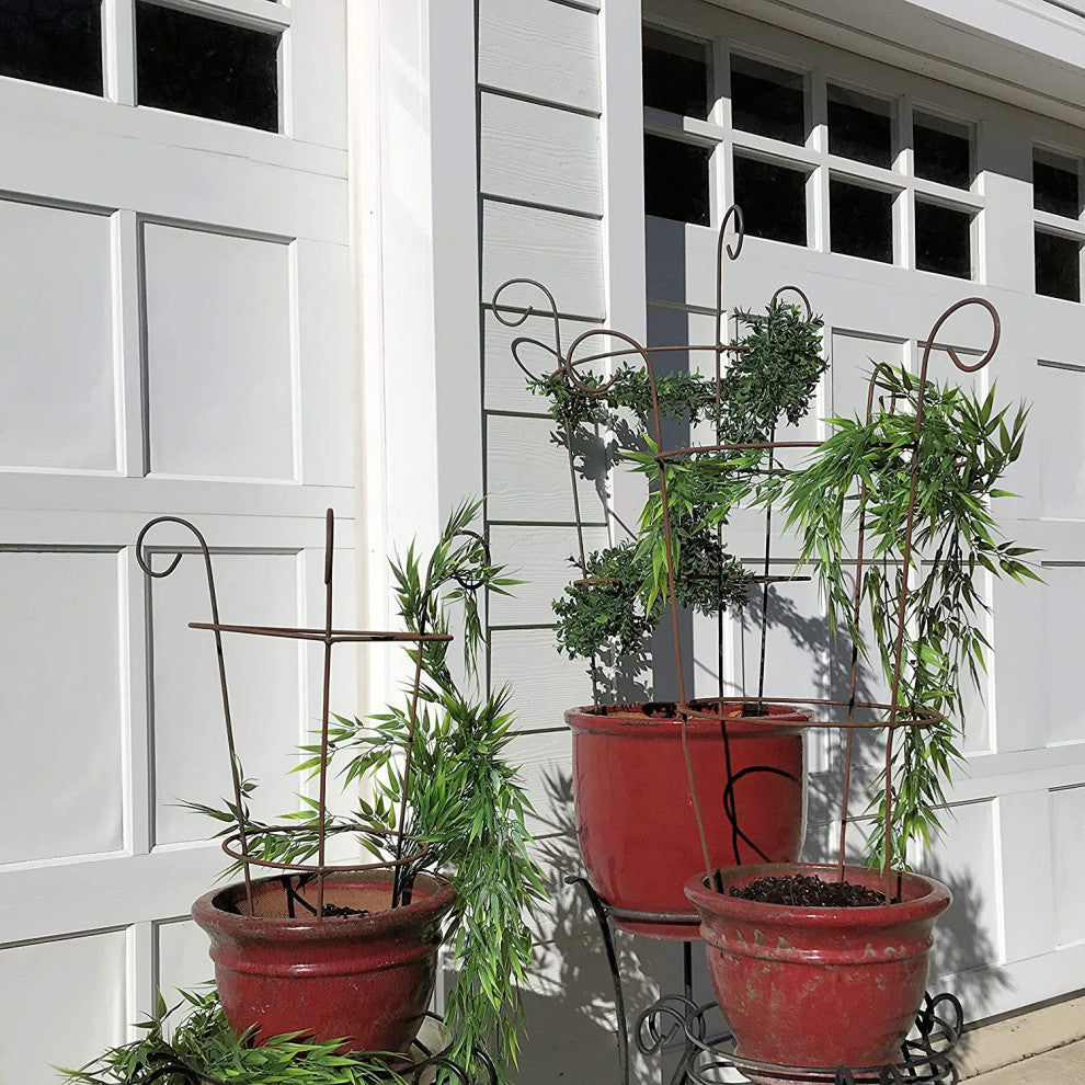 3 Piece Curl Top Trellis