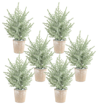 Potted Icy Pine Tree, 6-Piece Set