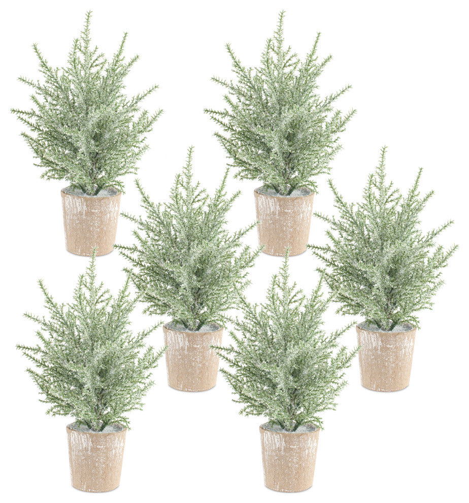 Potted Icy Pine Tree, 6-Piece Set