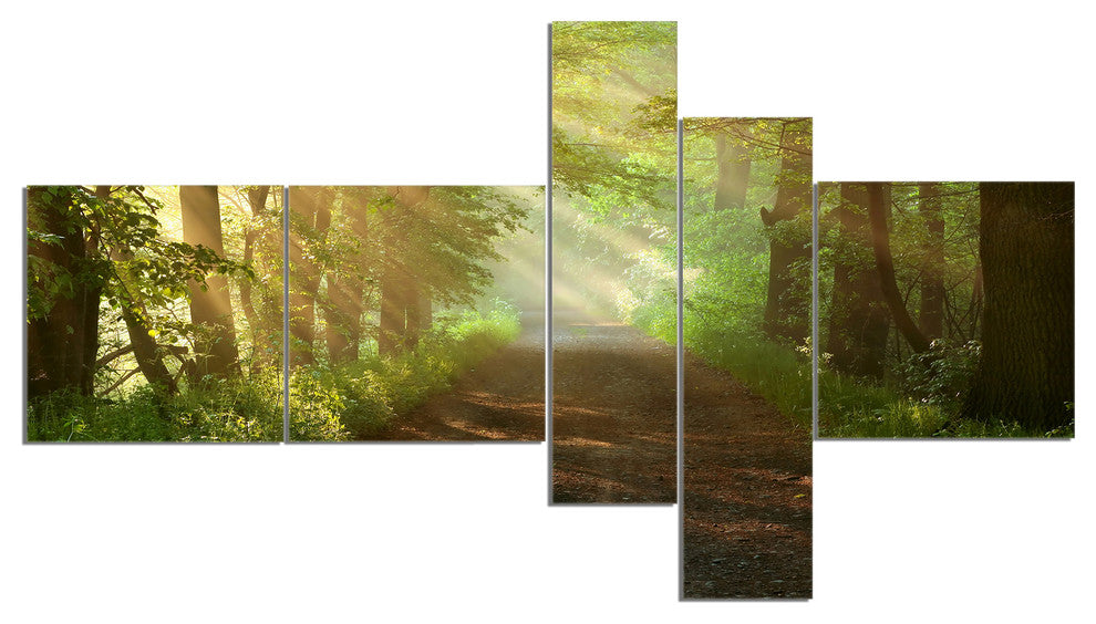 Suns Peeks into Forest, Landscape Photography Canvas Print, 60"x32", 5 panels