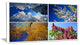 Four Seasons of Nature Collage, Landscape Canvas Art Print, 40x20