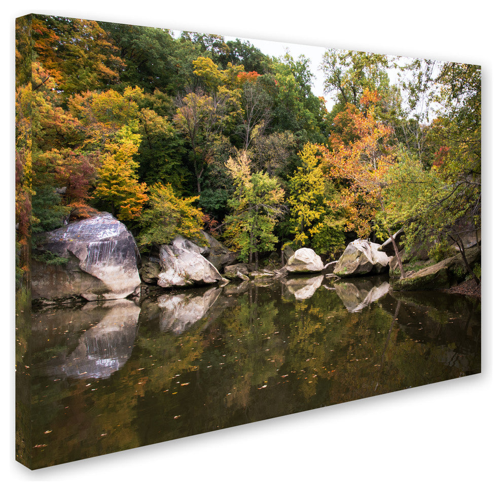 'Graffiti Fall' Canvas Art by Kurt Shaffer