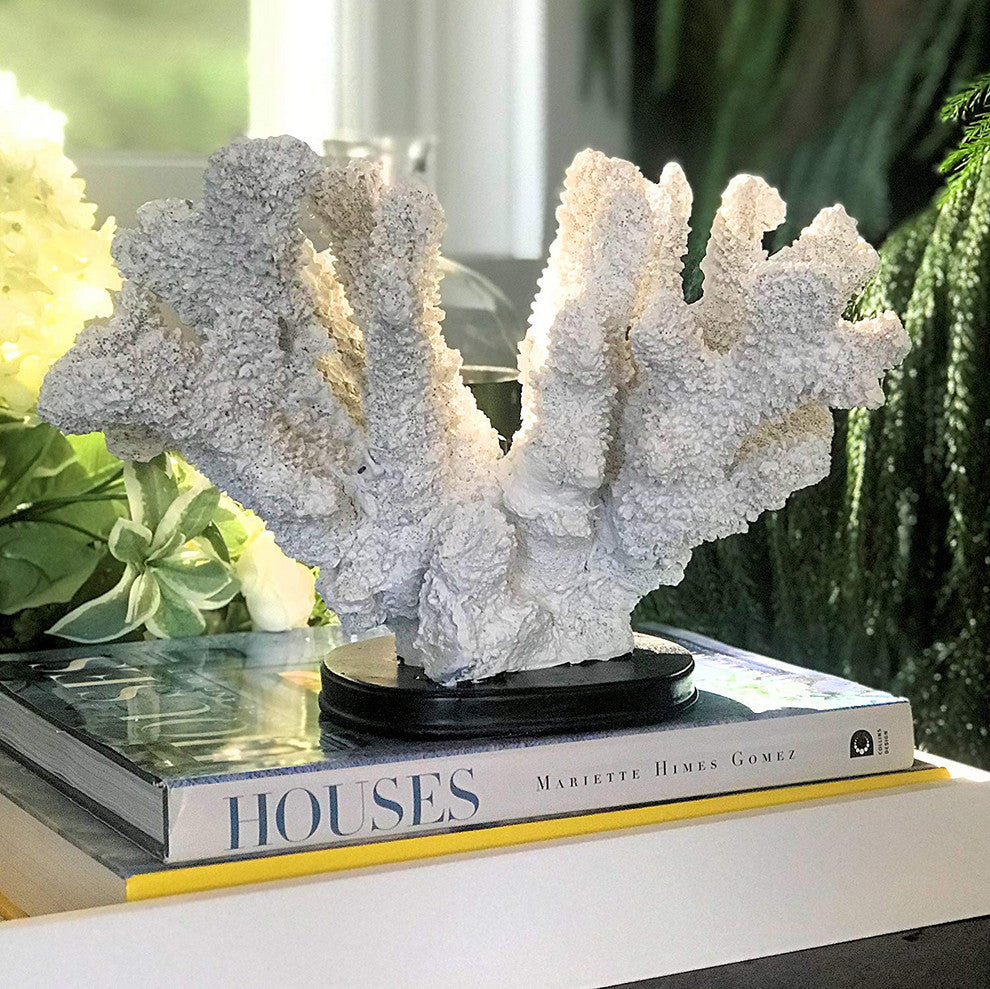 Bleached Coral Table Decor