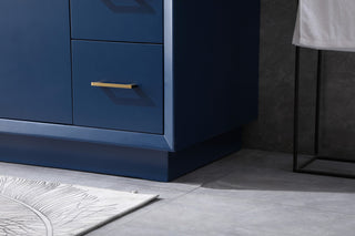 48" SIngle Bathroom Vanity, Blue
