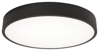 Bailey 14" LED Flush Mount, Black