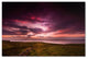 ''Infinite'' Canvas Art by Philippe Sainte-Laudy