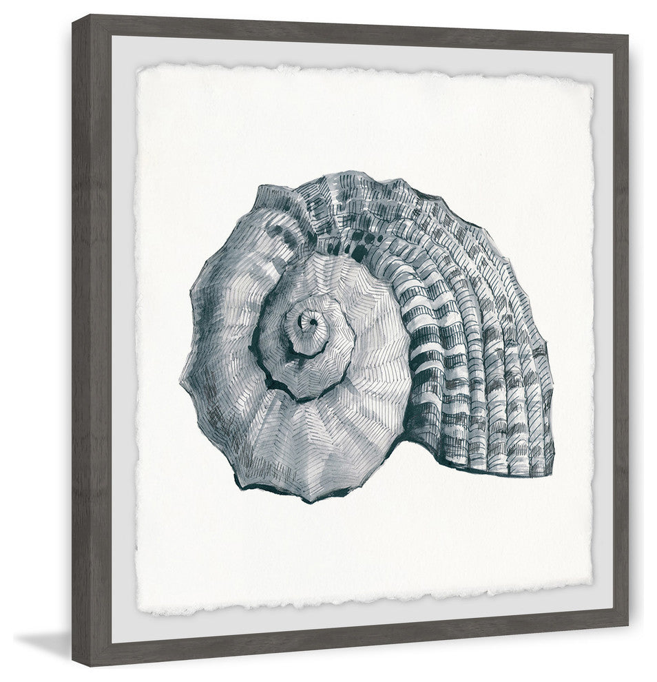 "Sturdy Shell" Framed Painting Print, 12"x12"