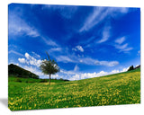 Spring Landscape Green Fields, Landscape Canvas Art Print, 60x40
