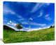 Spring Landscape Green Fields, Landscape Canvas Art Print, 60x40