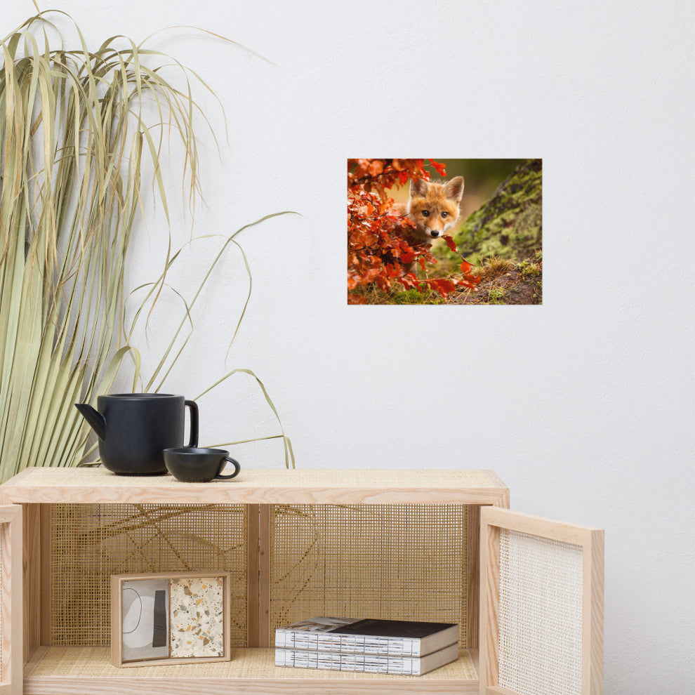 Baby Red Fox Face and Autumn Leaves Animal Wildlife Photo Loose Wall Art Print, 12" X 16"