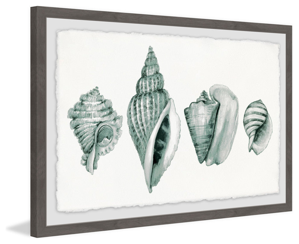 "Four Shells" Framed Painting Print, 18"x12"