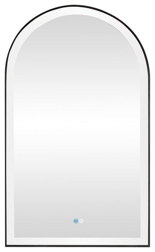 Estartit Oval LED Wall Mount Mirror, Brushed Black, 24" W X 40" H