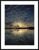 American Alligator In Nine-Mile Pond, Everglades National Park, Florida, 30"x38"