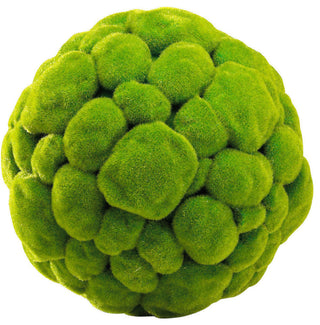 Large Moss Sphere