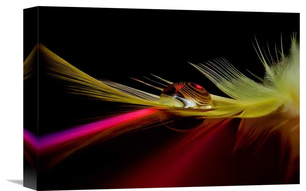 "Colors In The Drop" Stretched Canvas Giclee by Aida Ianeva, 16"x11"
