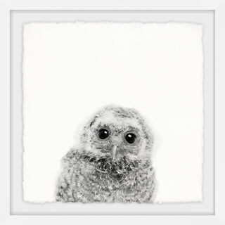 "Those Big Eyes" Framed Painting Print, 12"x12"
