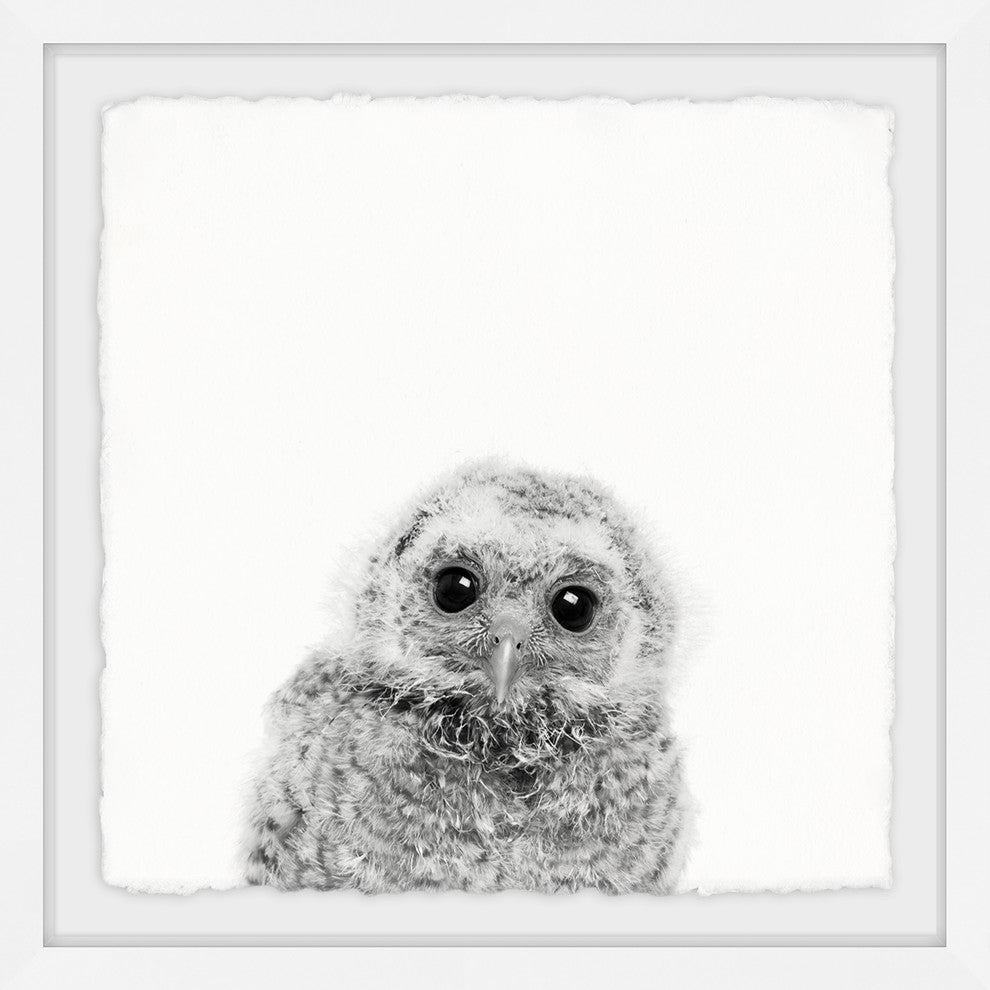 "Those Big Eyes" Framed Painting Print, 12"x12"
