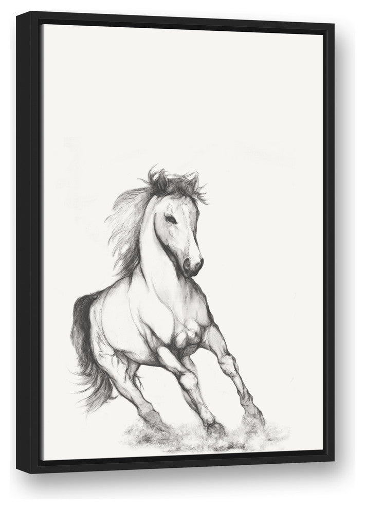 "Running Horse Sketch" Black Floating Framed Canvas, 20"x30"