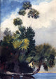 Winslow Homer Palm Trees- Florida Wall Decal