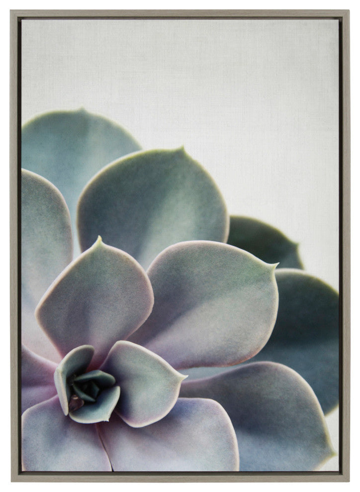 Sylvie Succulent 5 Framed Canvas by F2 Images, Gray 23x33