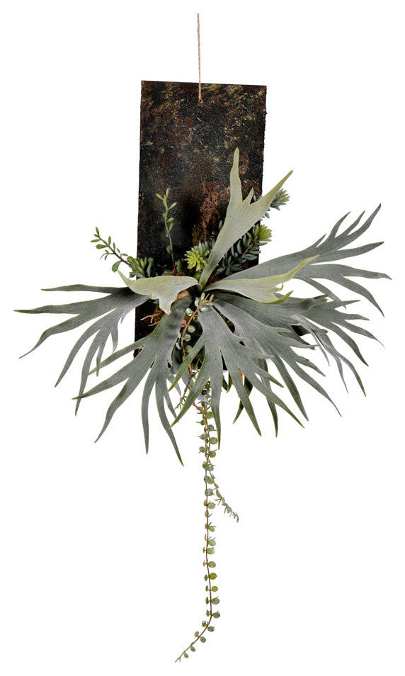 Vickerman 26" Green Staghorn Fern in Wooden Plaque