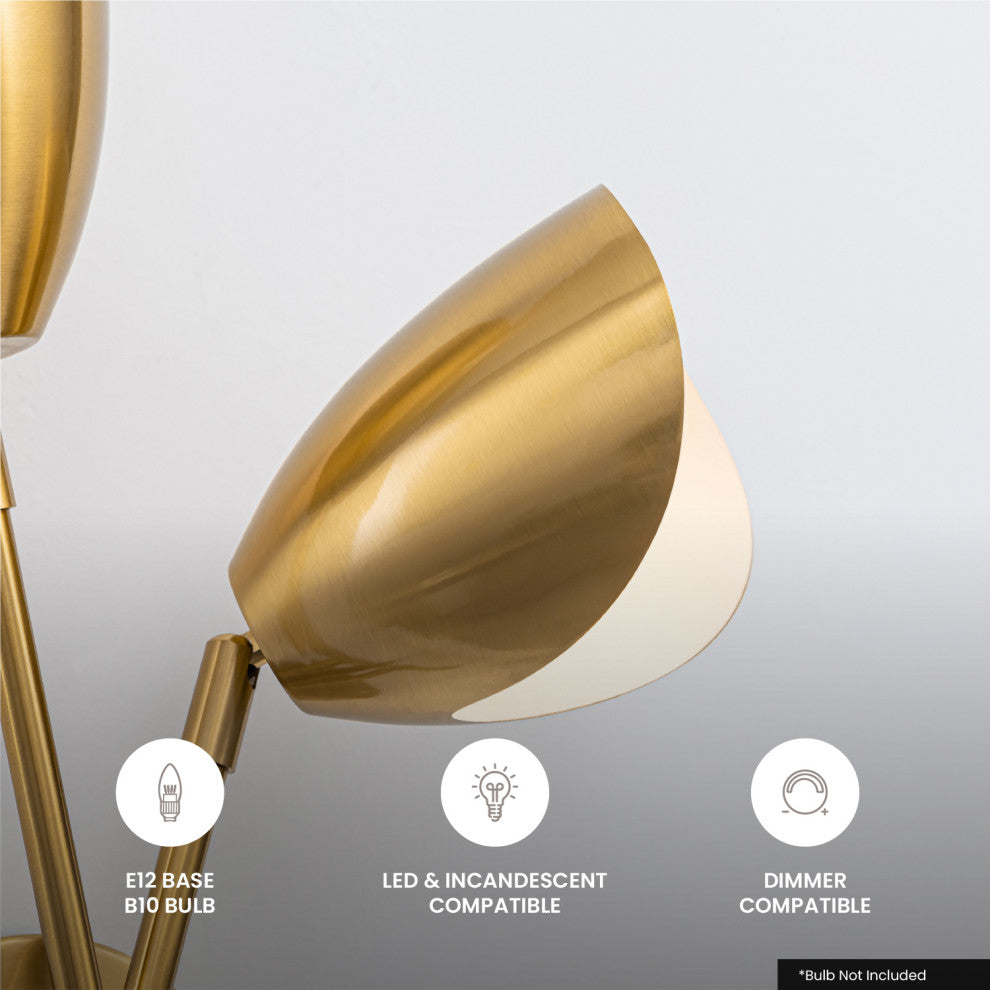 Splay 2 Light Wall Sconce Brass