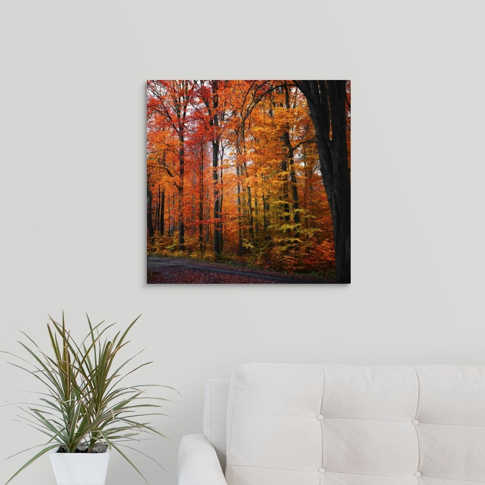 "Rainbow Fall" Wrapped Canvas Art Print, 20"x20"x1.5"