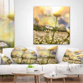 Blooming Chamomiles Flowers Landscape Printed Throw Pillow, 16"x16"