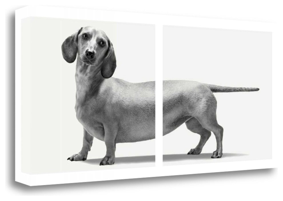 "Heads And Tails" By Jon Bertelli, Giclee Print on Gallery Wrap Canvas
