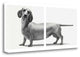 "Heads And Tails" By Jon Bertelli, Giclee Print on Gallery Wrap Canvas