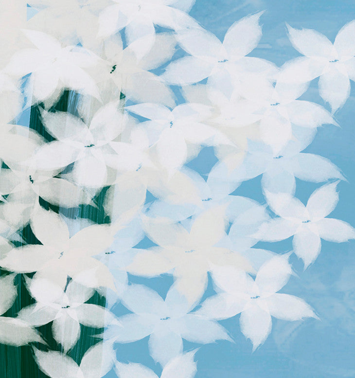 Paperwhites, Floral Print Placemat, Light Blue (Set of 4), 18 x 14"