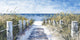 "Fine and Sandy" Painting Print on Wrapped Canvas, 24x12