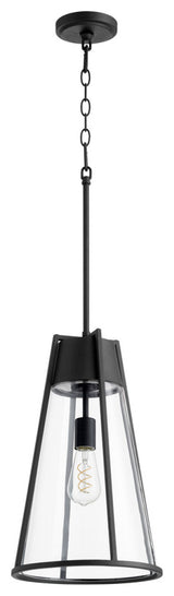 Quorum 827-69 One Light Pendant, Black w Clear Finish