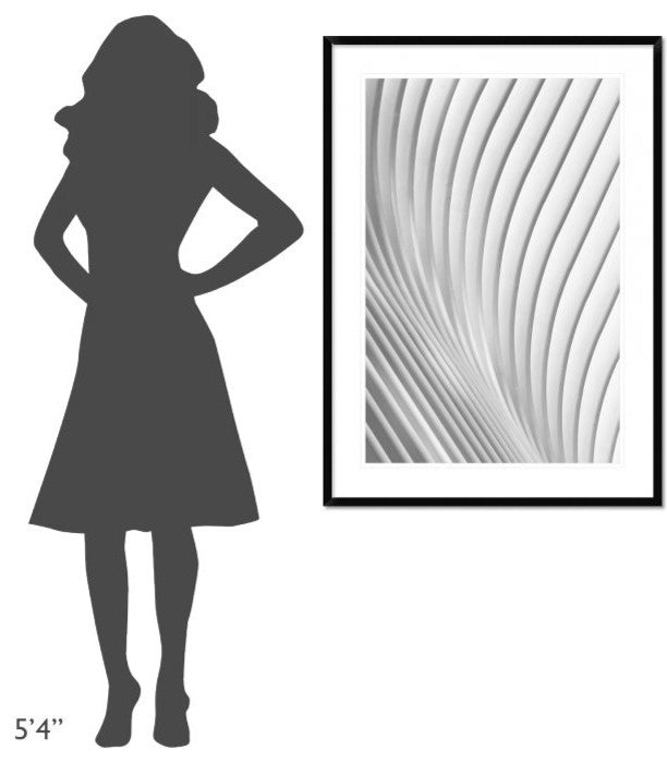 "Calatrava Lines" Framed Digital Print by Christopher Budny, 32x44"