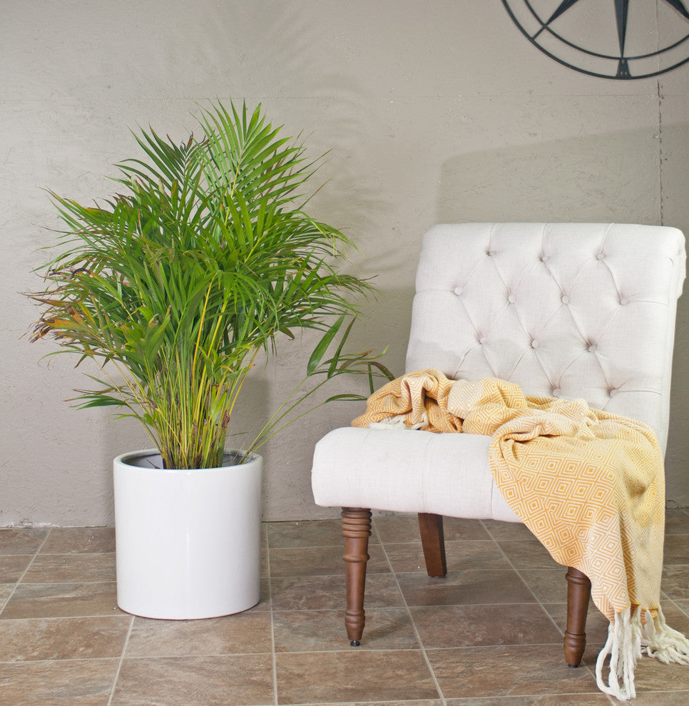 Extra Large Ceramic Pot 13'' White