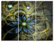 "Light Fractal Flower and Butterfly" Digital Metal Wall Art, 3 Panels, 36"x28"