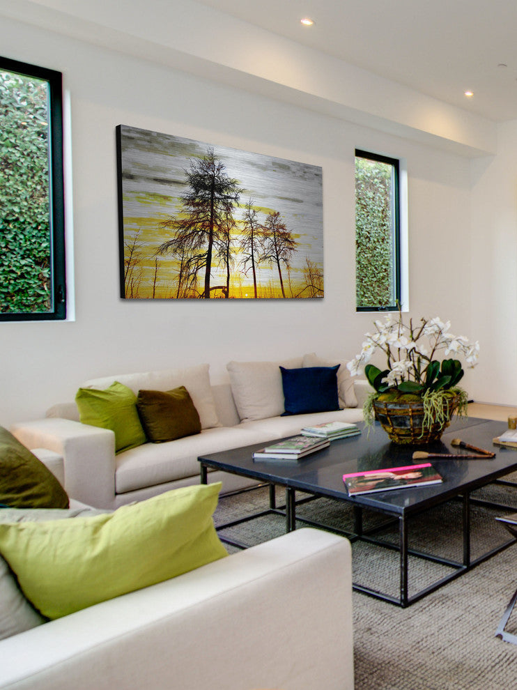 "Trees Against Gold Sky" Print on Brushed Aluminum, 36"x24"