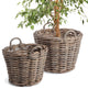 Normandy Tree Baskets, Set of 2