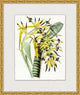 Sunny Botany 6, Giclee Reproduction Artwork