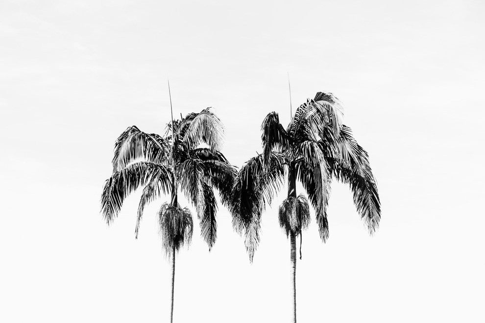 "Two of a Kind" Painting Print on Wrapped Canvas