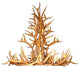 Elk, Mule Deer Antler Chandelier Light, Medium, No Shades