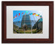 CATeyes 'United Nations 1' Matted Framed Art, Wood Frame, White Mat, 14x11