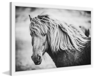Marmont Hill, "Beautiful Mane" Framed Painting Print, 18x12