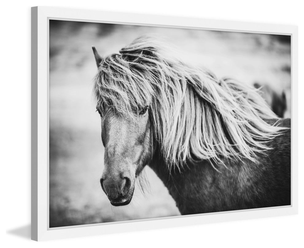 Marmont Hill, "Beautiful Mane" Framed Painting Print, 18x12