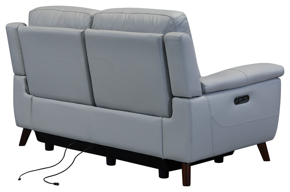 Lizette Loveseat, Dark Brown Wood Finish and Dove Gray Genuine Leather