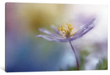 "Springtime Watercolor" by Heidi Westum, 40x26x1.5