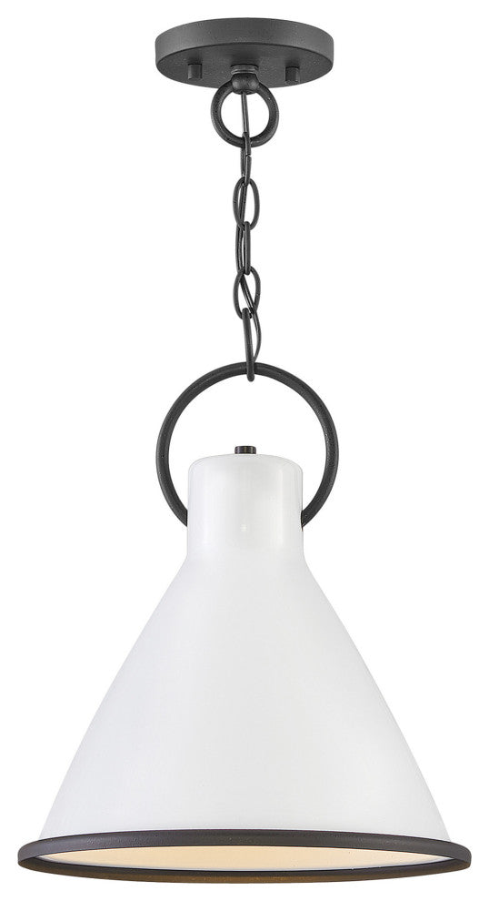 Hinkley Lighting 3557 Winnie 1 Light 12"W Pendant - Aged Zinc / Distressed