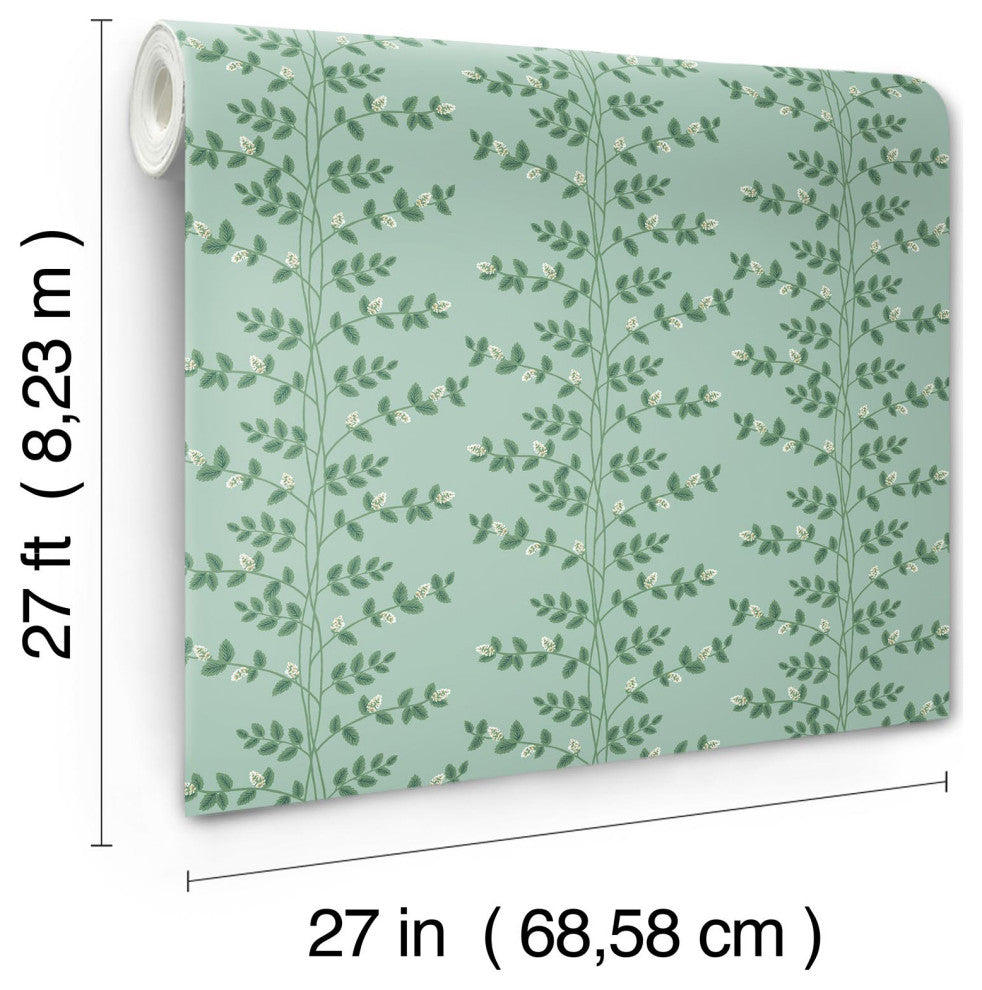 Climbing Vine Soft Teal Wallpaper