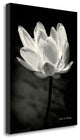 "Lotus Flower X" By Debra Van Swearingen, Giclee Print on Gallery Wrap Canvas