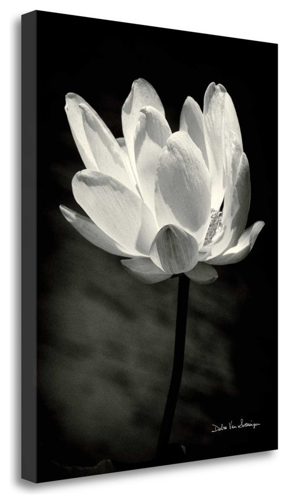 "Lotus Flower X" By Debra Van Swearingen, Giclee Print on Gallery Wrap Canvas